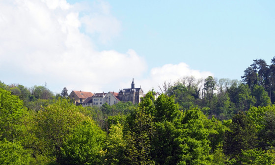 La Chapelle des Buis