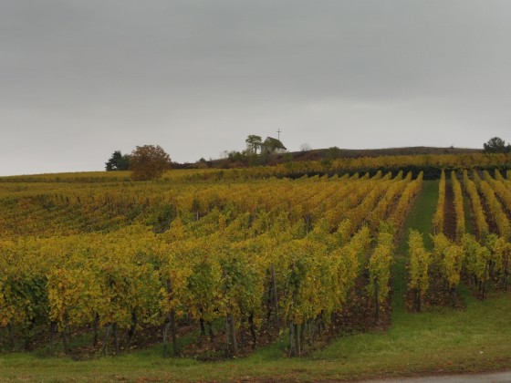 La chapelle du Bollenberg, vue générale