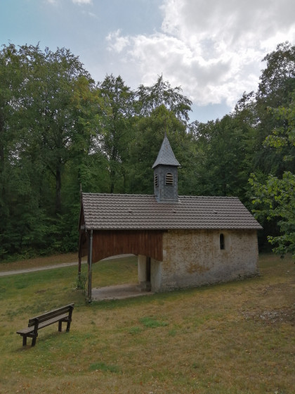 A faire Le château de Vignory Randonnée