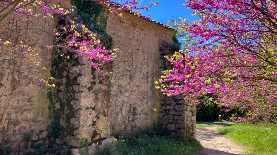La chapelle Saint-Martin