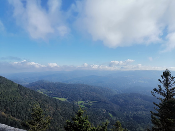 A faire La Chatte Pendue depuis l'Étang du Coucou Randonnée