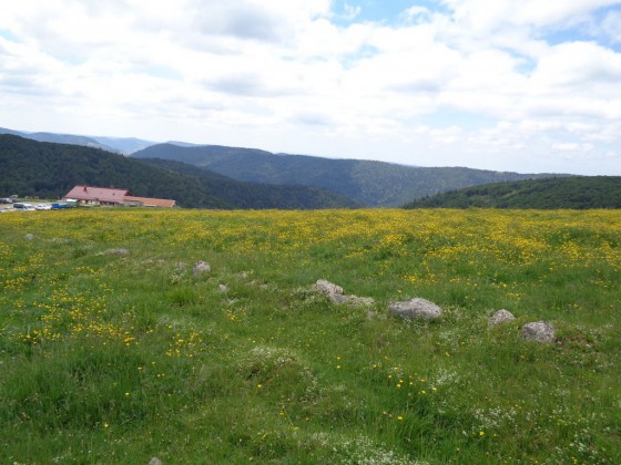 La chaume de Ferschmuss