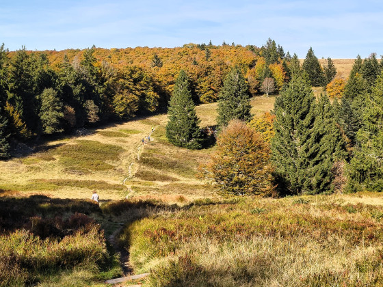 La chaume entre le Petit et le Grand Ventron. &copy; PASSION VOSGES - LAURENT GENTILHOMME