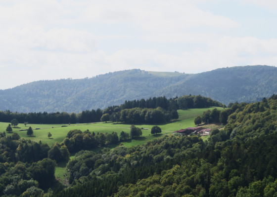 La chaume et la ferme-auberge du gresson