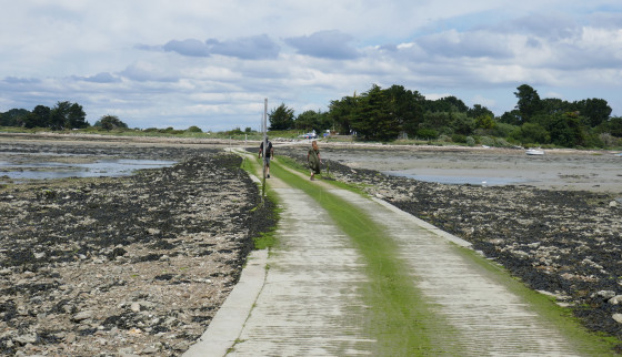 La chaussée à marée basse
