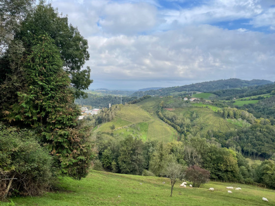 La cidrerie