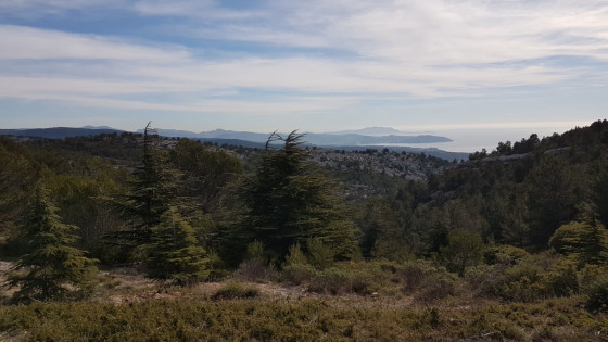 Golfes de La Ciotat  et de Sanary