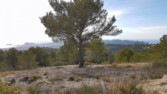 De La Ciotat à Cassis