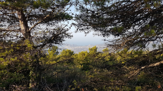 La Ciotat