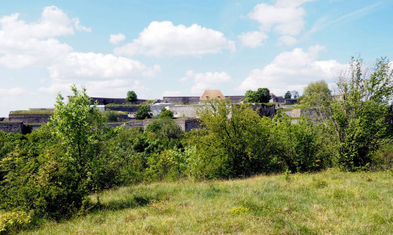 La Citadelle