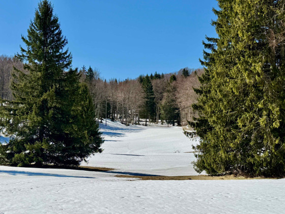 La Clairière de Patente