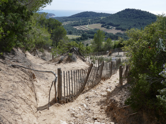 La colline de sable - la descente
