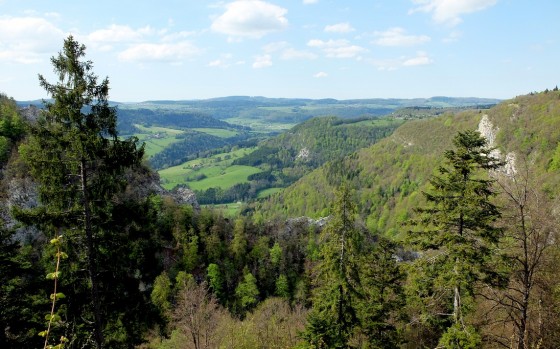 La Combe au Ch&acirc;teau