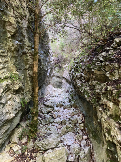La combe Curnier