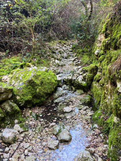 La combe Curnier