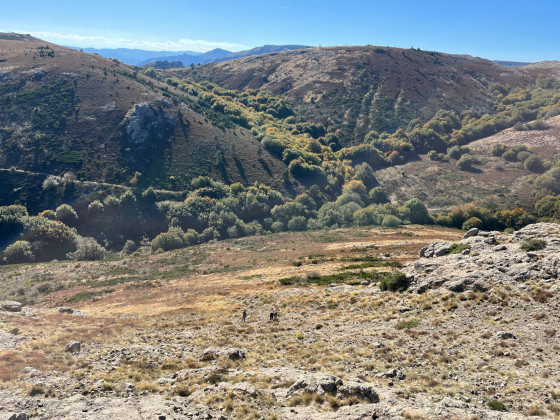 La combe d'Estrets