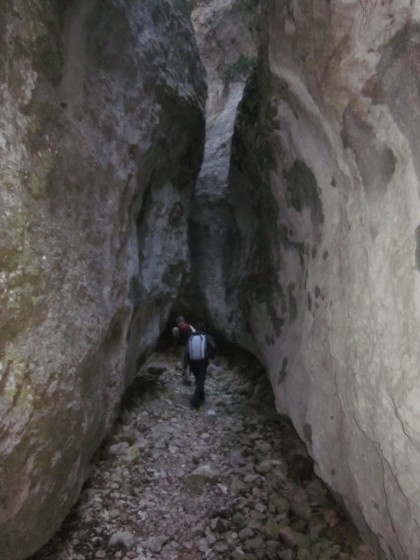 La combe de Curnier