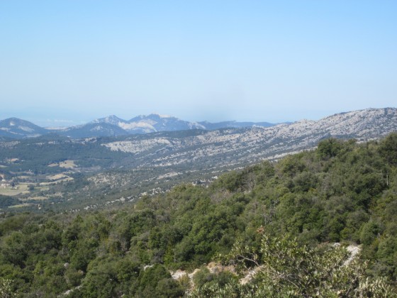 Les Dentelles au loin