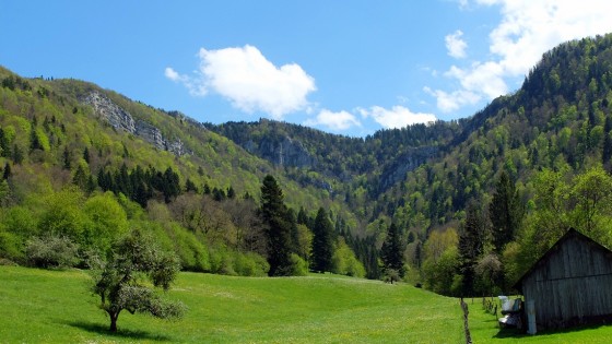 La Combe du Château