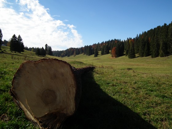 La combe du Voirnon