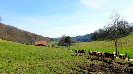 La Combe Georgeot