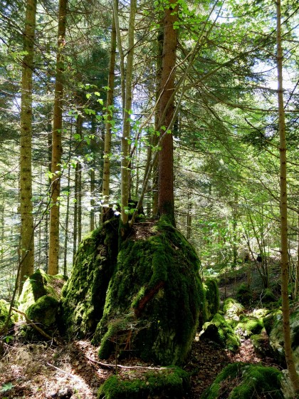 La Combe Ribeau