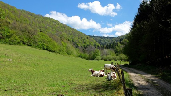 La Combe Ribeau