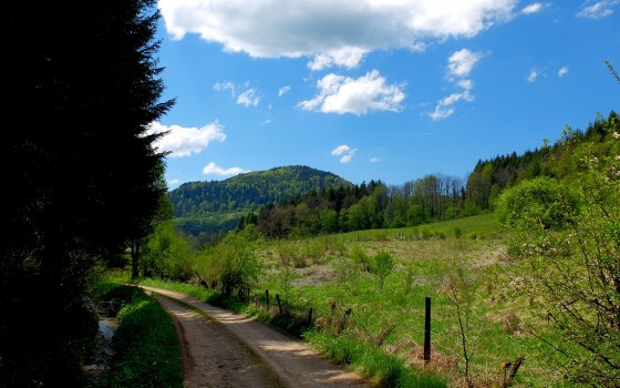 La combe Ribeau