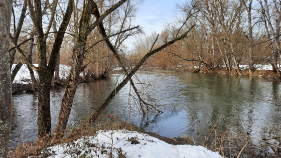 La confluence de la Thur et de l\'Ill