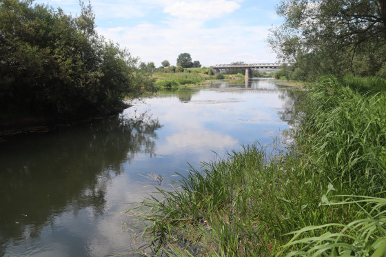 La confluence du ruisseau des marais et de la Meuse