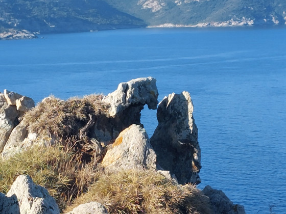la corse à l'envers...