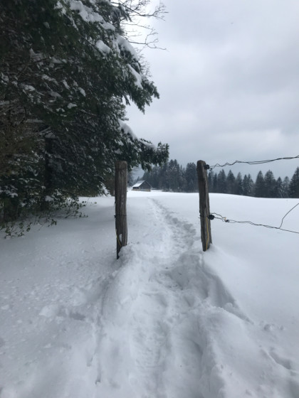 La C&ocirc;te du Cerf