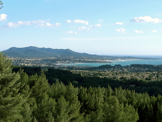 La c&ocirc;te vue du Gros Cerveau
