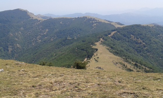 La crête des Albères