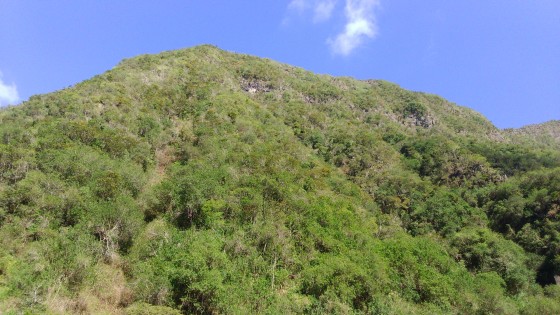 La Crête du Bras Long