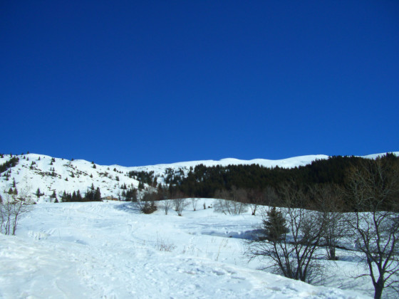 La cr&ecirc;te et le Verdet