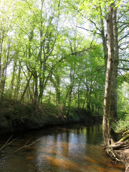La Creuse entre le Moulin Rouge et le Moulin du Vivier