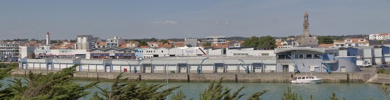 La criée de de Saint Gilles Croix de vie