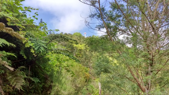 La croix glorieuse