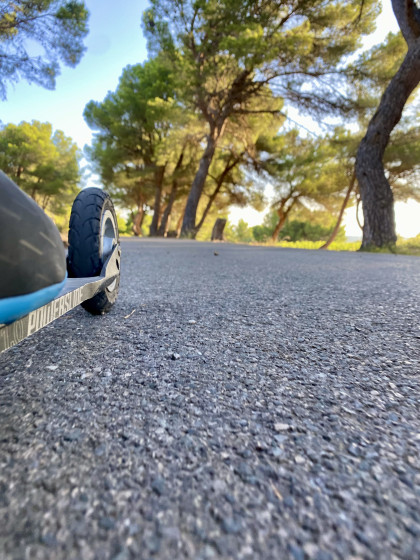 La délicieuse route dans la pinède