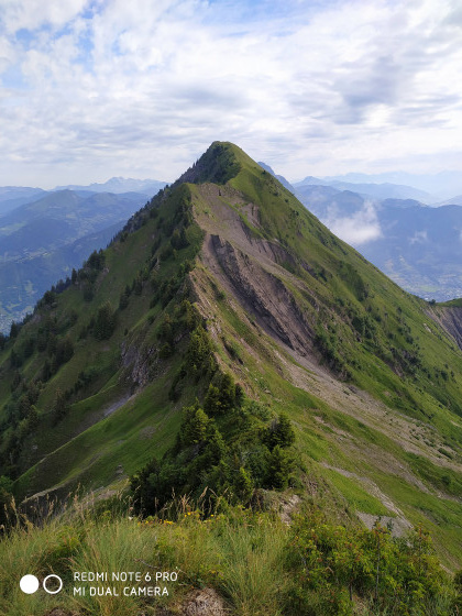 La dent de Cons
