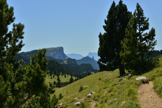 la dent de DIE