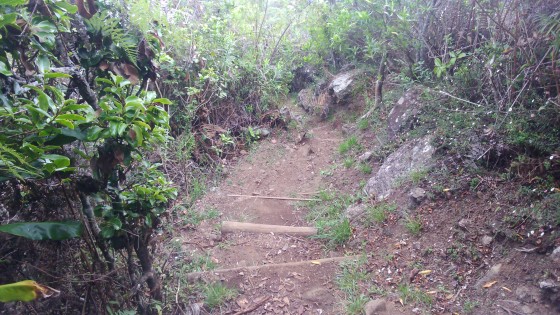La descente du Piton Cabris