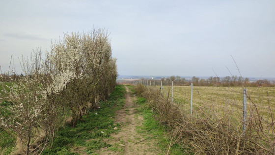 la descente du retour