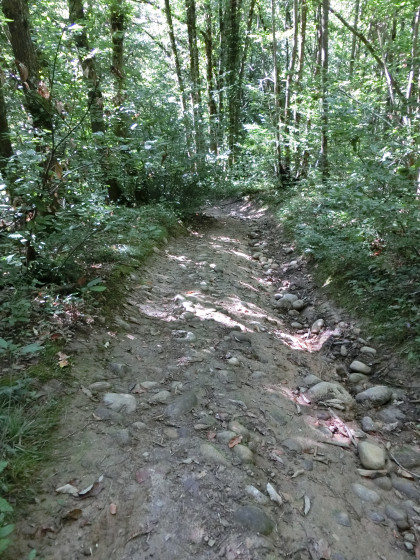 La descente en fin de parcours