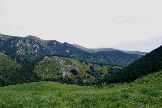La descente pleine pente