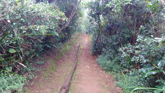 La descente