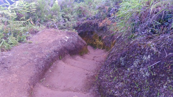 La descente