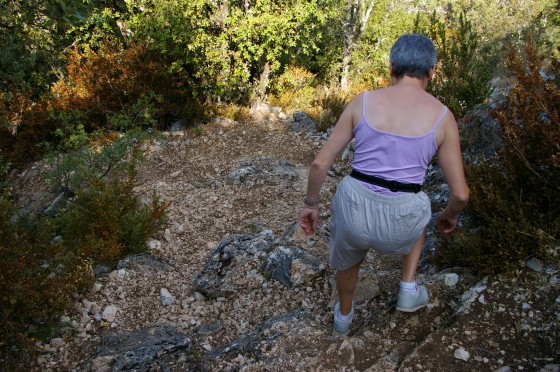 La descente