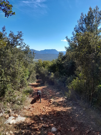 La descente